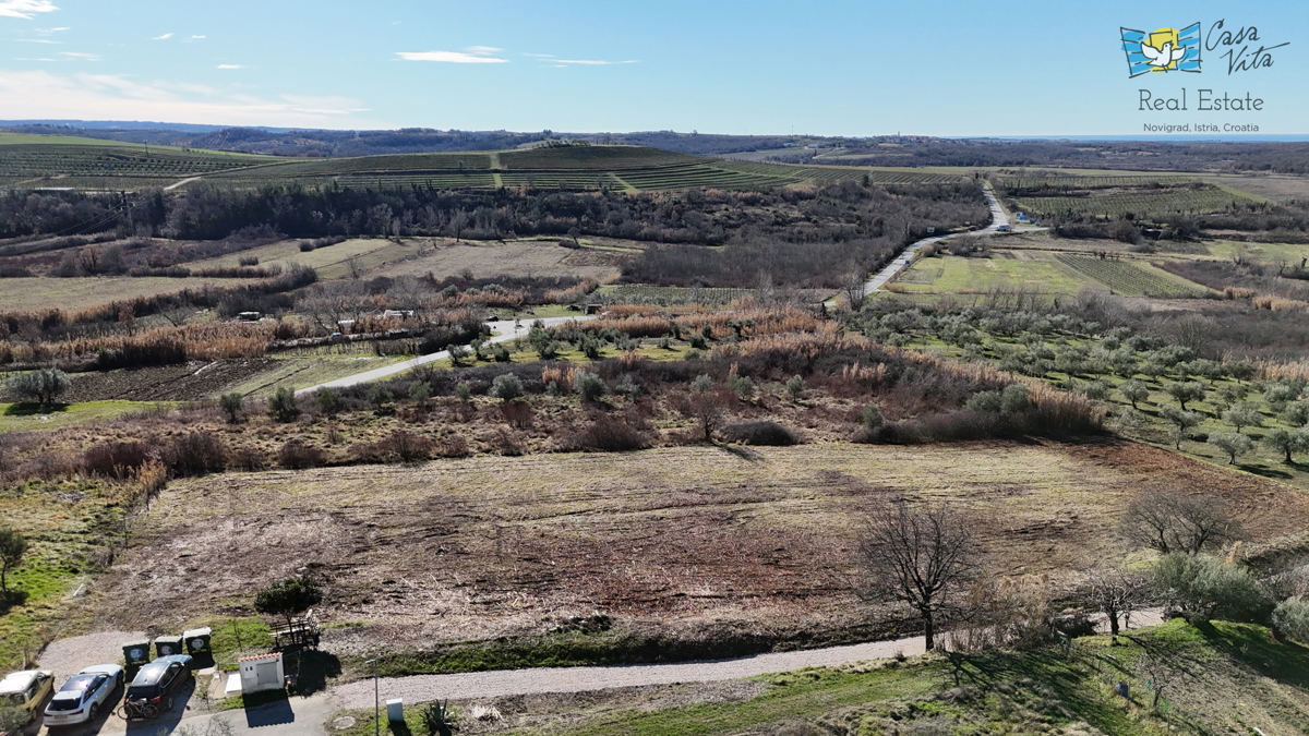 Istra, gradbeno zemljišče za družinsko hišo, Buje