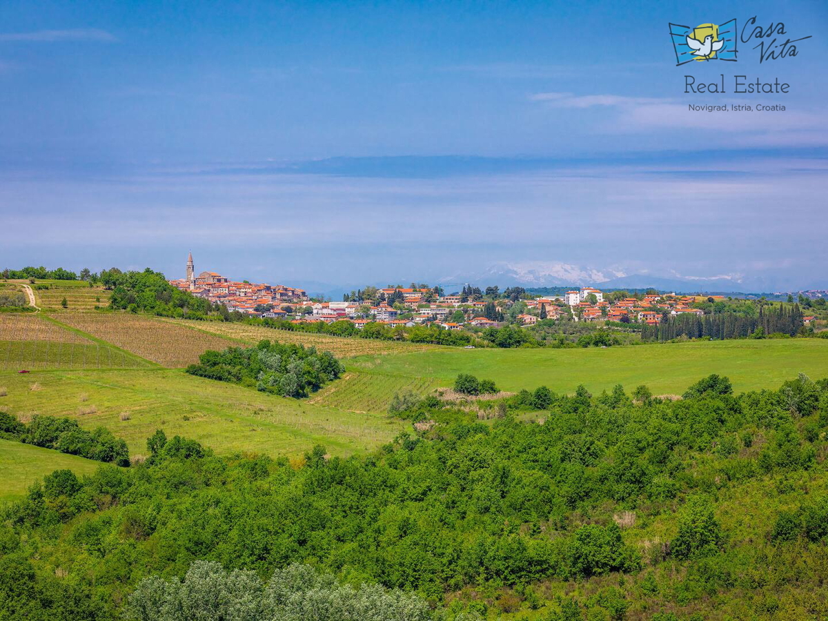 ISTRA, BUJE, Razkošna mediteranska hiša z velikim vrtom