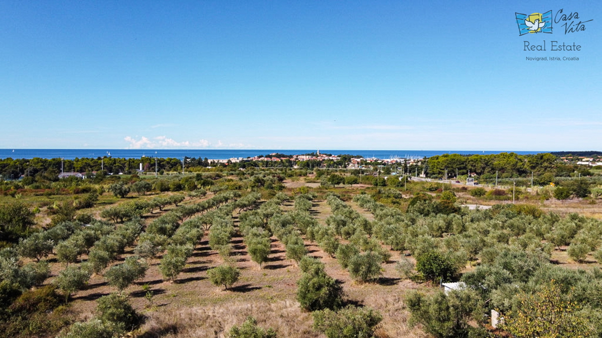 Čudovita hiša s panoramskim pogledom na morje in mesto Novigrad - 500m od morja!