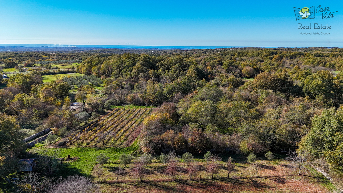 Istra, Poreč - Samostojna hiša 12 km od morja in centra mesta Poreč!