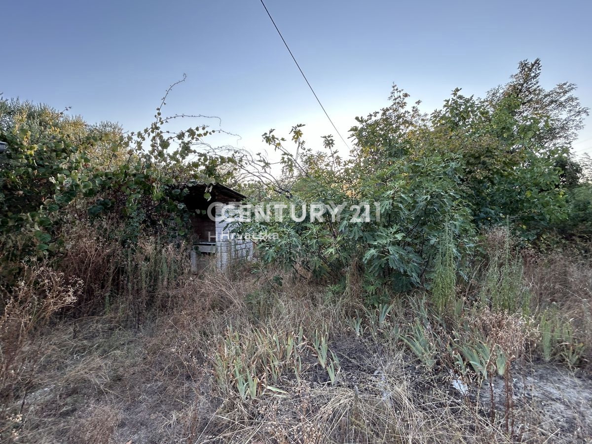 Prodaja, hiša, samostojna, Istarska županija, Umag, Crveni Vrh