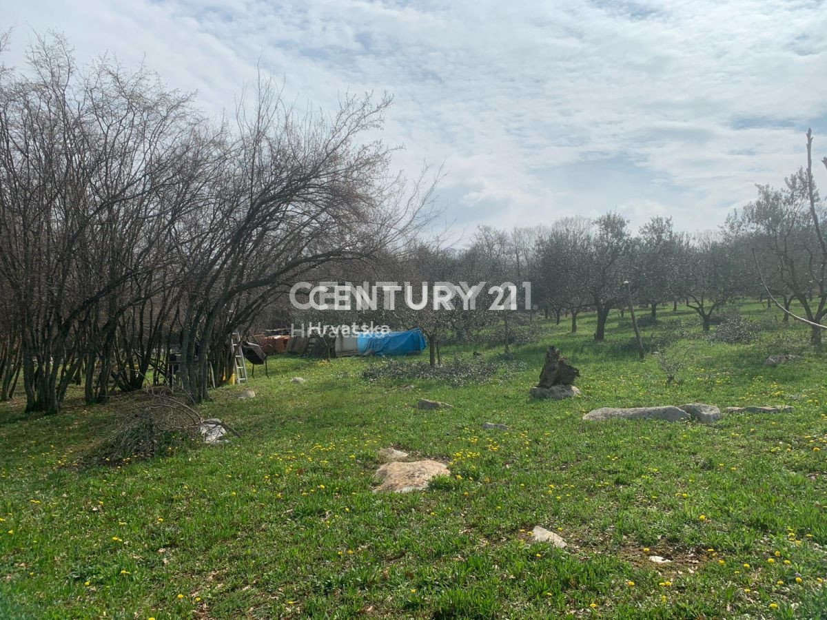 Prodaja, zemljišče, kmetijska površina, Istarska županija, Poreč, Radmani