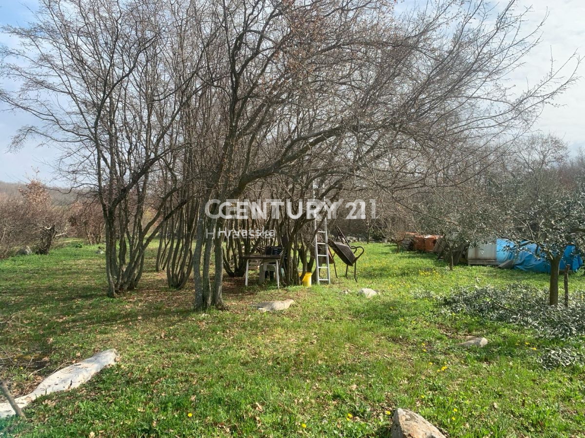 Prodaja, zemljišče, kmetijska površina, Istarska županija, Poreč, Radmani