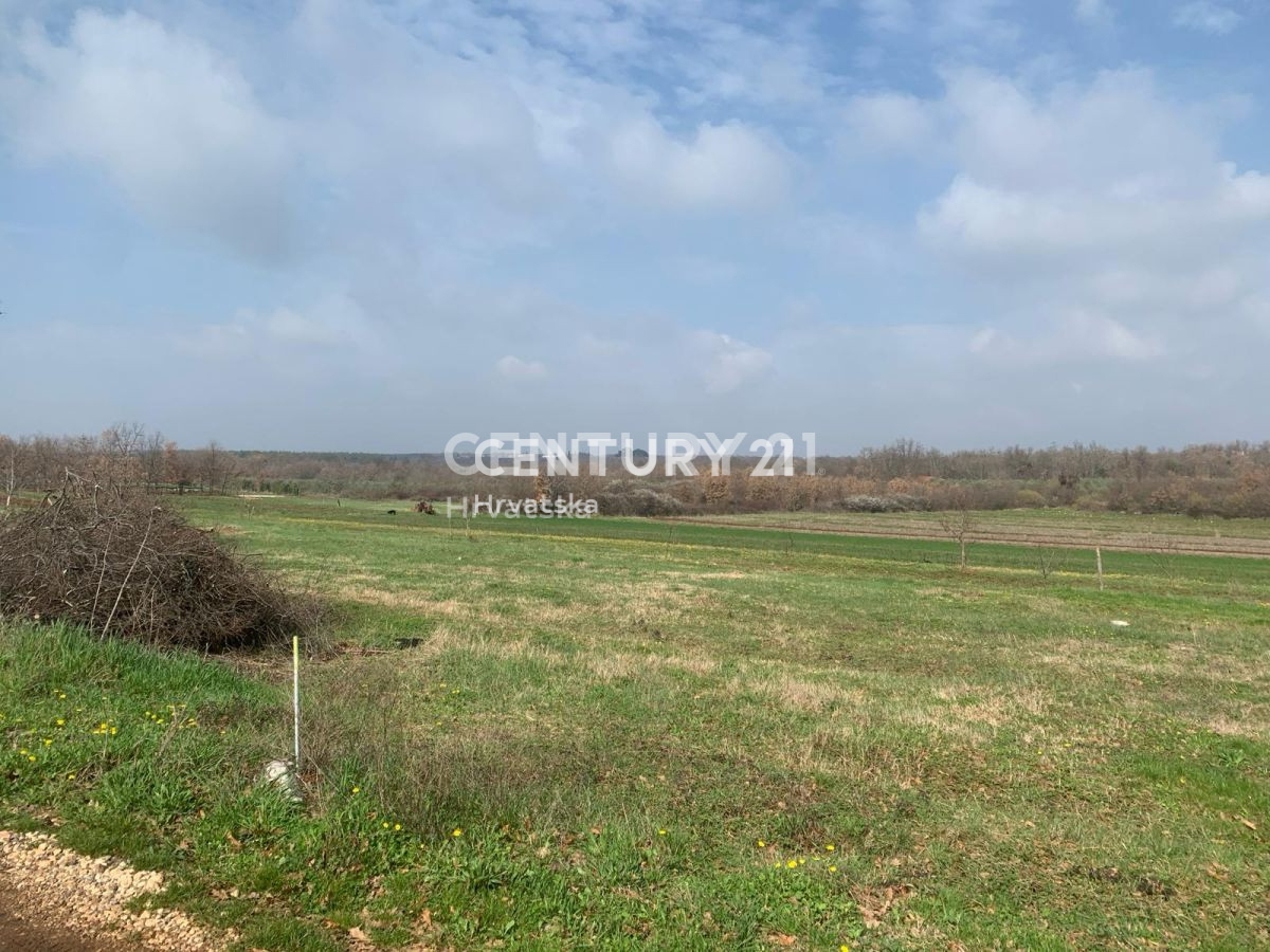 Prodaja, zemljišče, kmetijska površina, Istarska županija, Poreč, Radmani