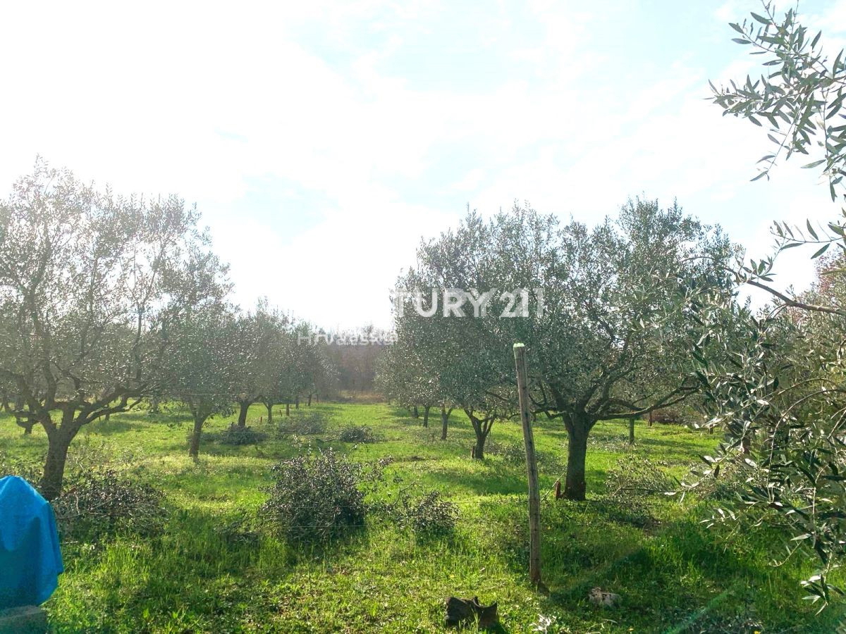 Prodaja, zemljišče, kmetijska površina, Istarska županija, Poreč, Radmani