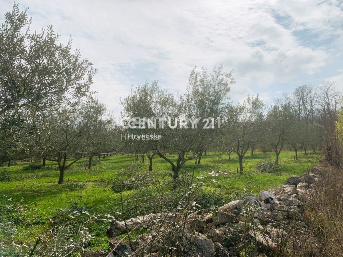 Prodaja, zemljišče, kmetijska površina, Istarska županija, Poreč, Radmani