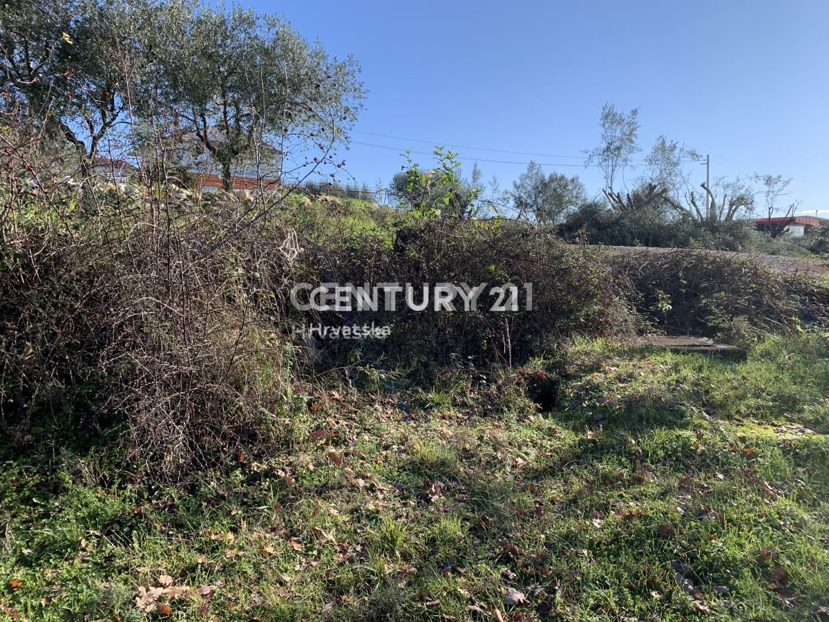 Prodaja, zemljišče, zazidljivo, Istarska županija, Sveti Lovreč