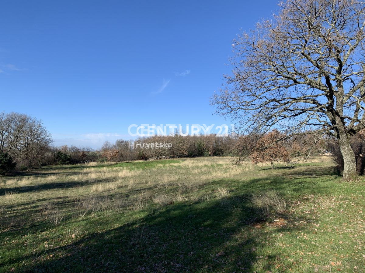 Prodaja, zemljišče, zazidljivo, Istarska županija, Sveti Lovreč