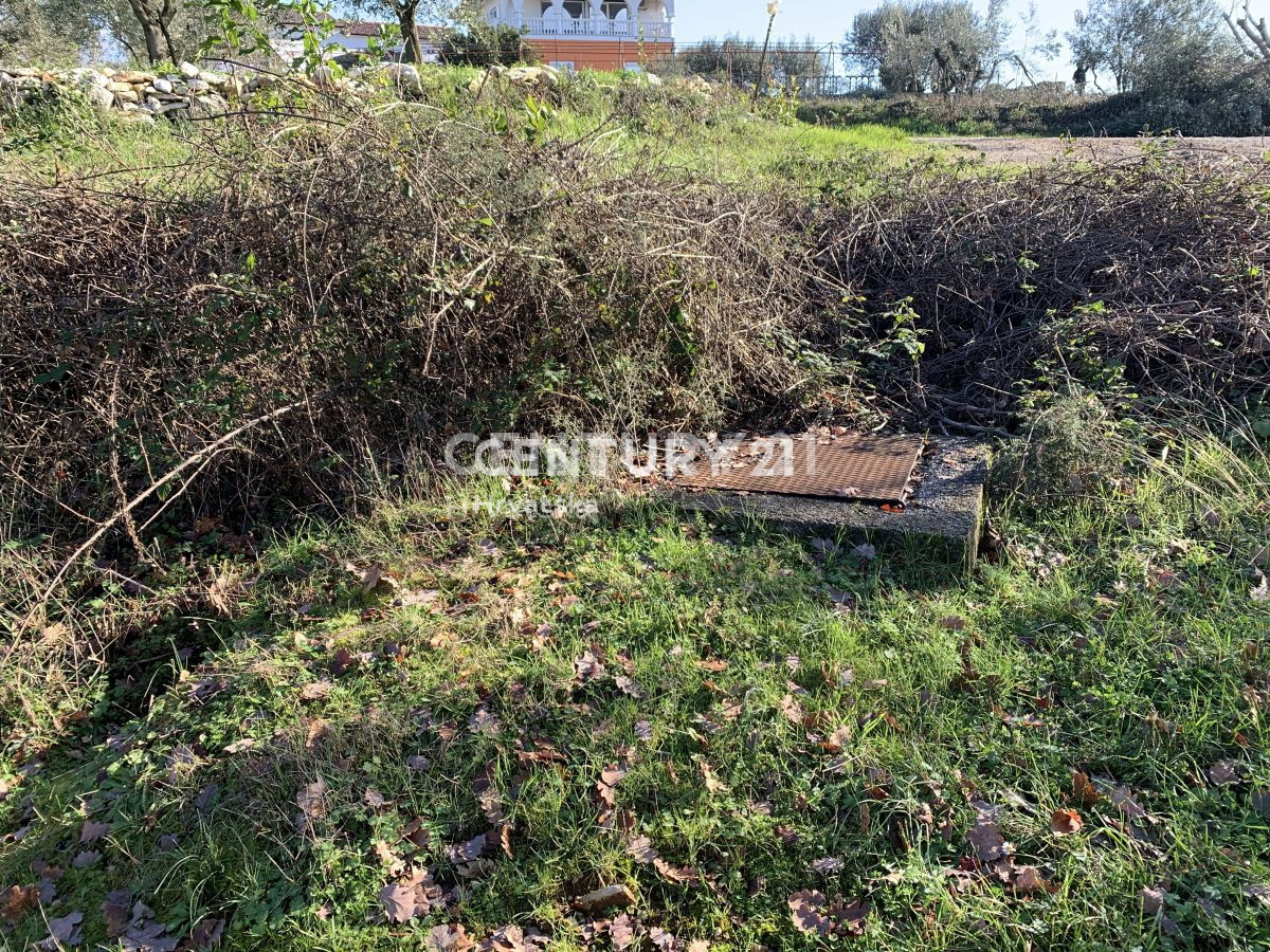 Prodaja, zemljišče, zazidljivo, Istarska županija, Sveti Lovreč