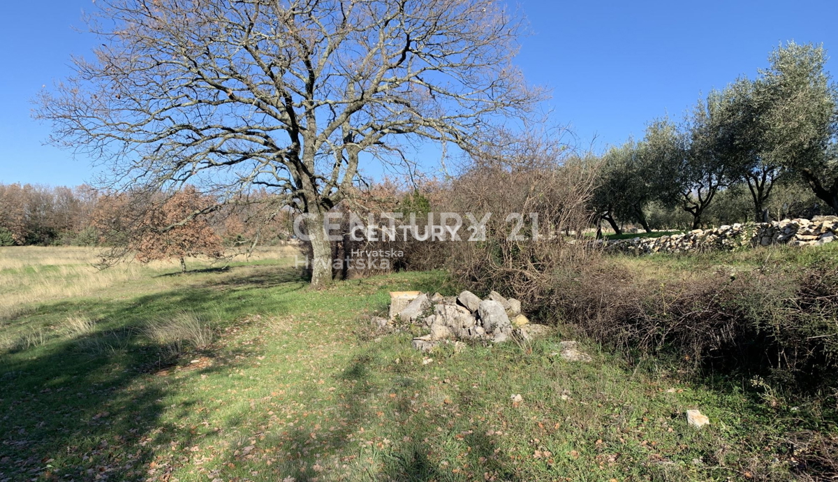 Prodaja, zemljišče, zazidljivo, Istarska županija, Sveti Lovreč