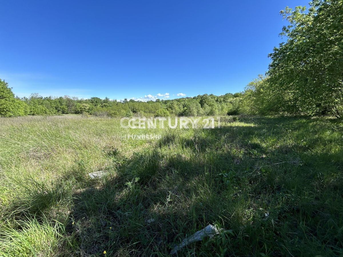 Prodaja, zemljišče, zazidljivo, Istarska županija, Motovun