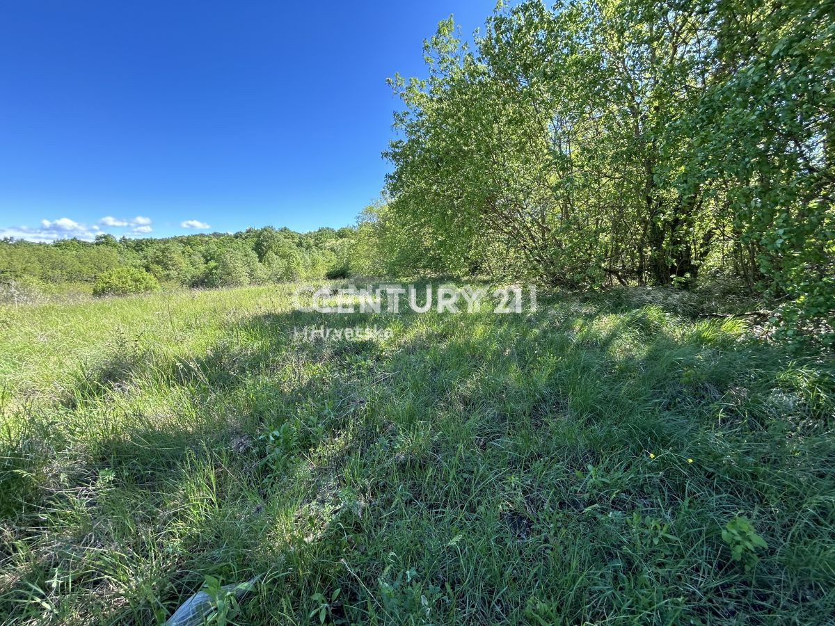 Prodaja, zemljišče, zazidljivo, Istarska županija, Motovun