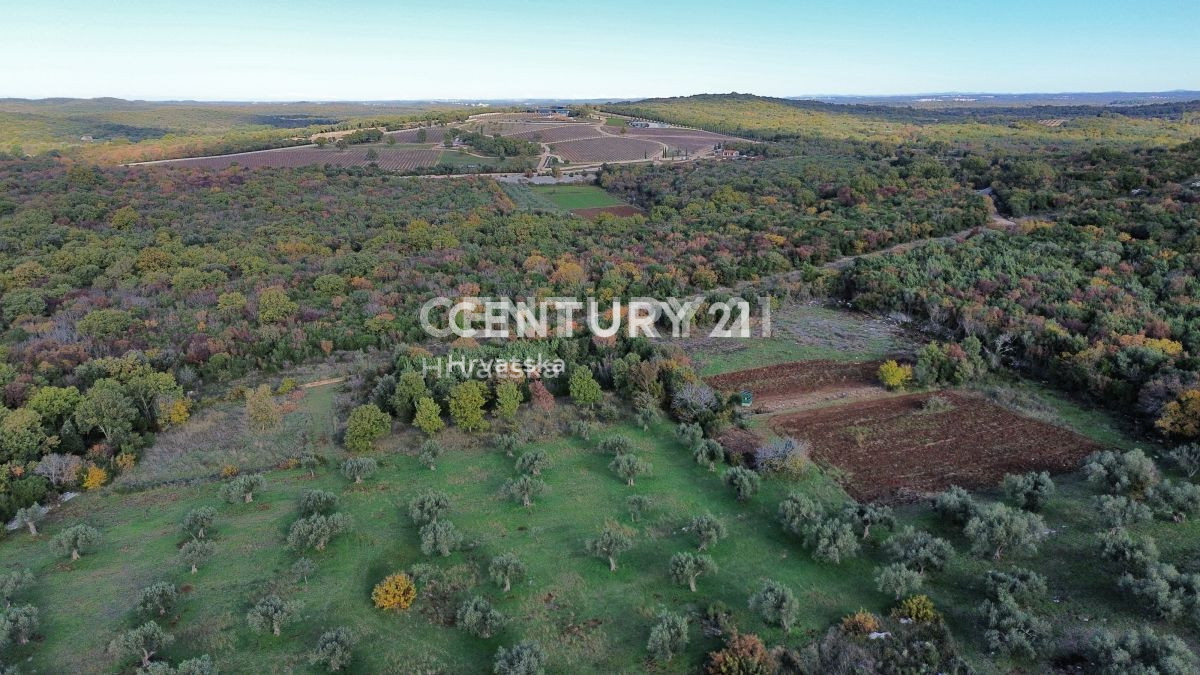 Prodaja, zemljišče, kmetijska površina, Istarska županija, Rovinj