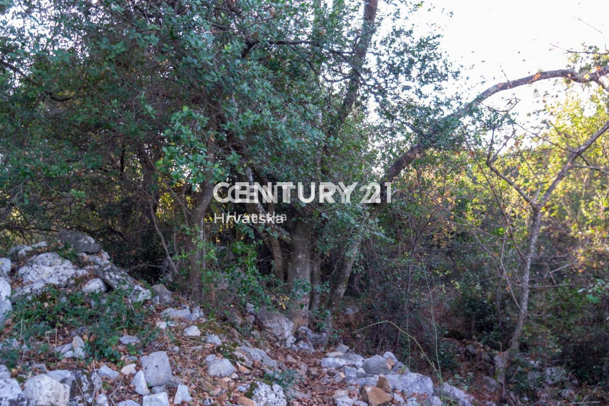 Prodaja, zemljišče, kmetijska površina, Istarska županija, Rovinj