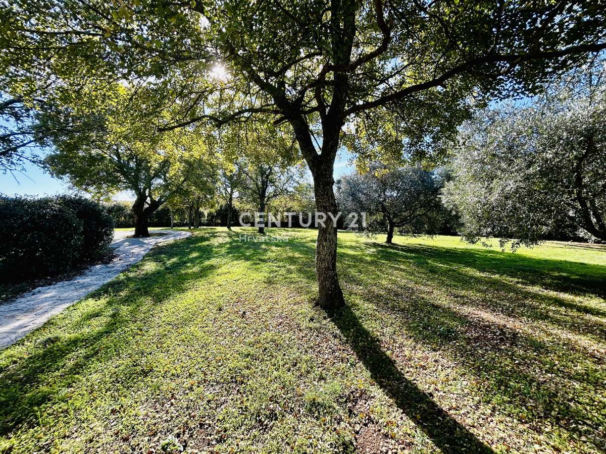 ROVINJ, OKOLICA, EKSKLUZIVNA ISTARSKA POSTAJA