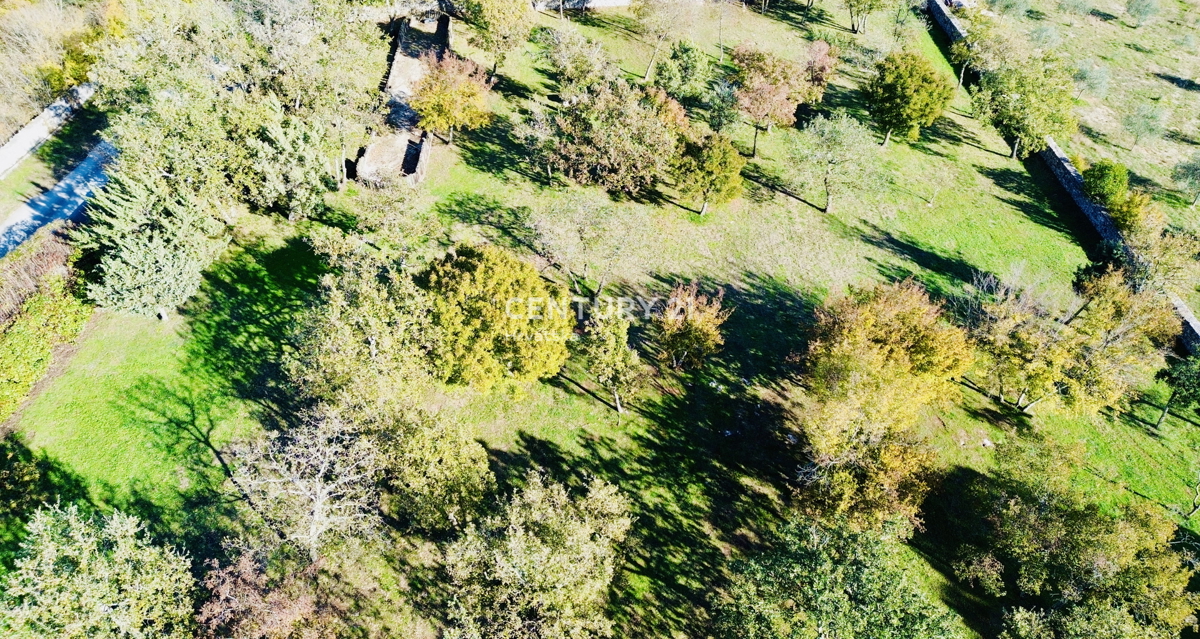 ROVINJ, OKOLICA, EKSKLUZIVNA ISTARSKA POSTAJA