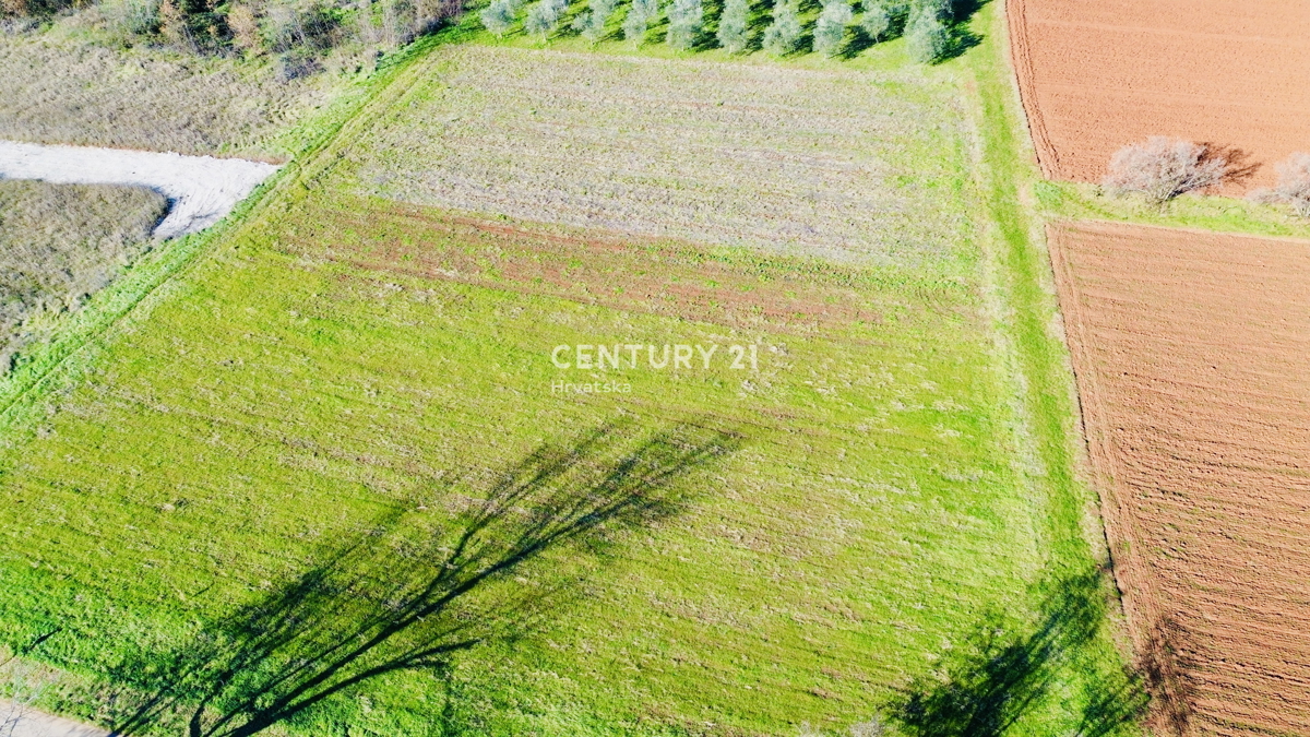POREČ, OKOLICA 8 KM, GRADBENO ZEMLJIŠČE S POGOSTIM POTENCIALOM