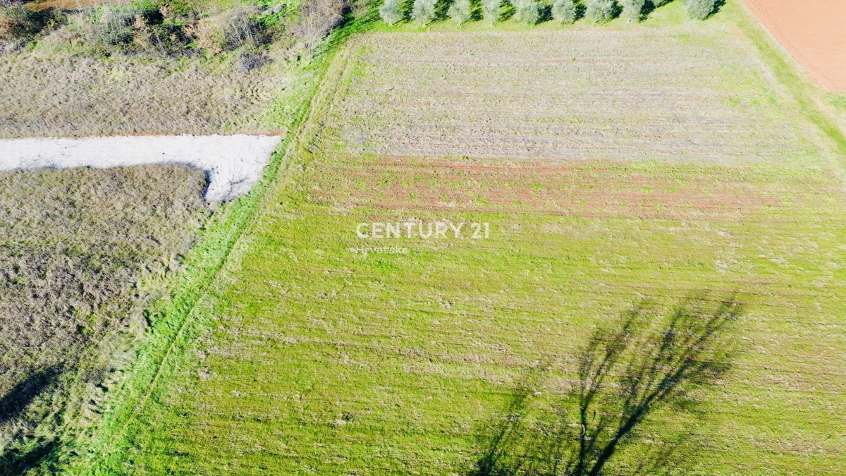 POREČ, OKOLICA 8 KM, GRADBENO ZEMLJIŠČE S POGOSTIM POTENCIALOM