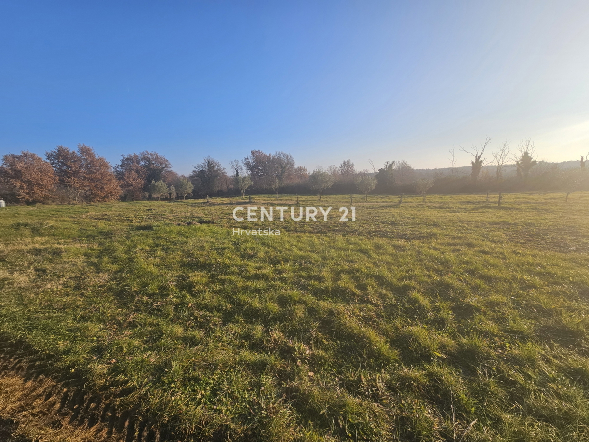 POREČ, ŽBANDAJ, PRODAJA GRADBENIŠKEGA ZEMLJIŠČA, ODLIČNA LOKACIJA