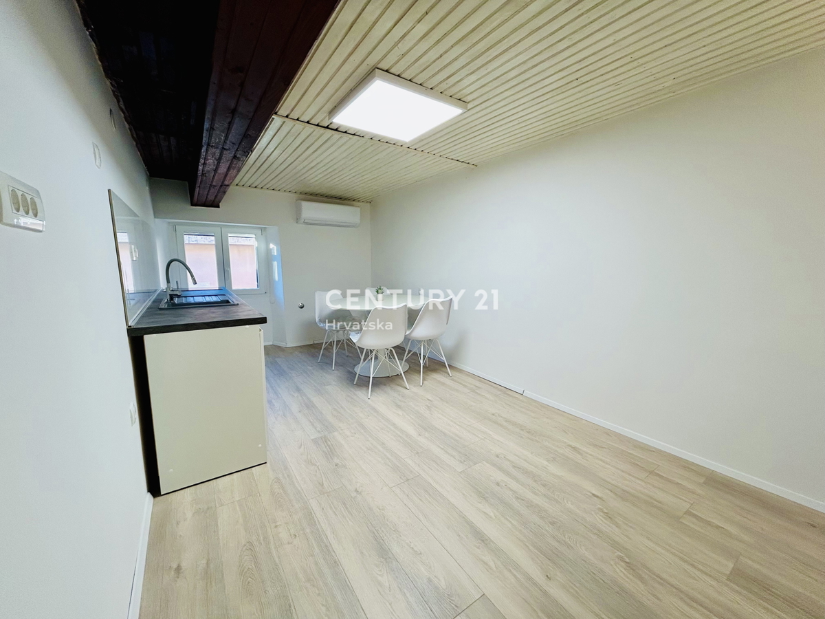 BUJE, CENTAR, ODLIČNO IN POPOLNOMA RENOVIRANO STANOVANJE