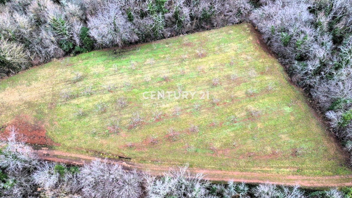 VIŠNJAN, PRODAJA GRADBENIH IN KMETIJSKIH ZEMLJIŠČ