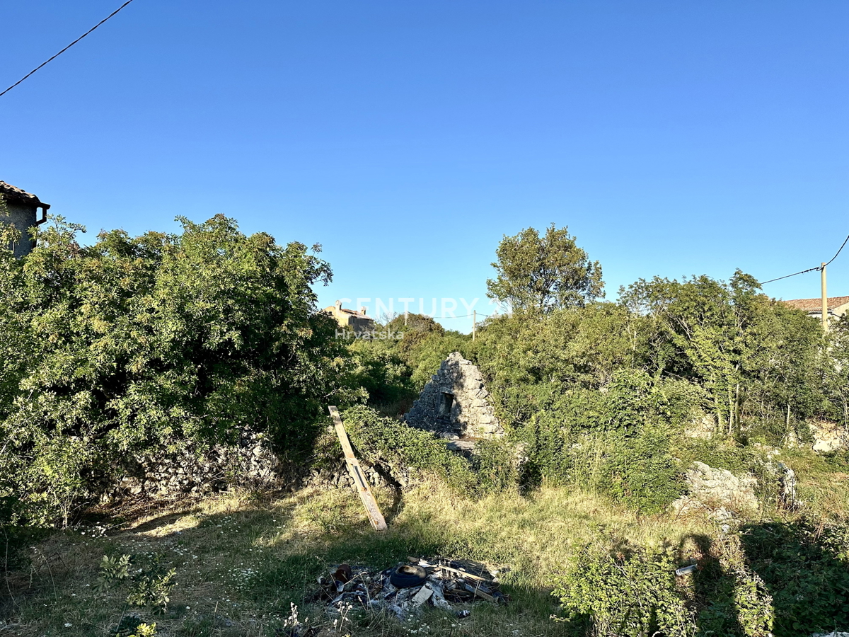 LABIN, SKITAČA, RENOVIRANA KAMNITA HIŠA NA MIRNI LOKACIJI