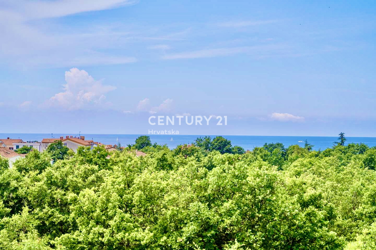 POREČ, OKOLICA, POPOLNA DIZAJNERSKA VILA