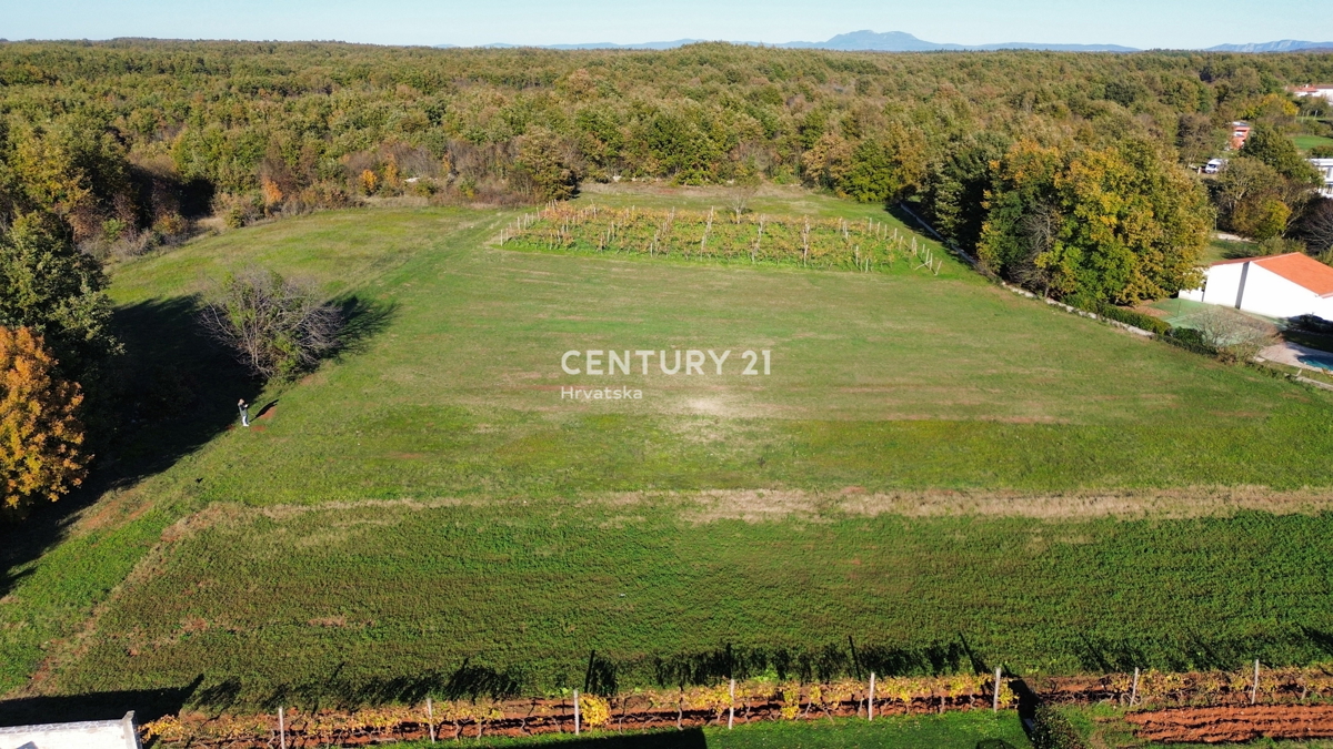 SVETVINČENAT, GRADBENO ZEMLJIŠČE PRAVILNE OBLIKE, MOŽNO KUPITI TUDI KMETIJSKO V NADALJEVANJU
