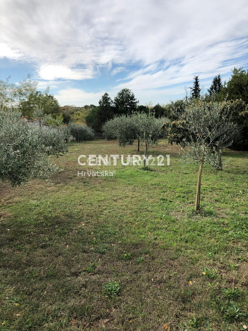 Prodaja, hiša, samostojna, Istarska županija, Umag