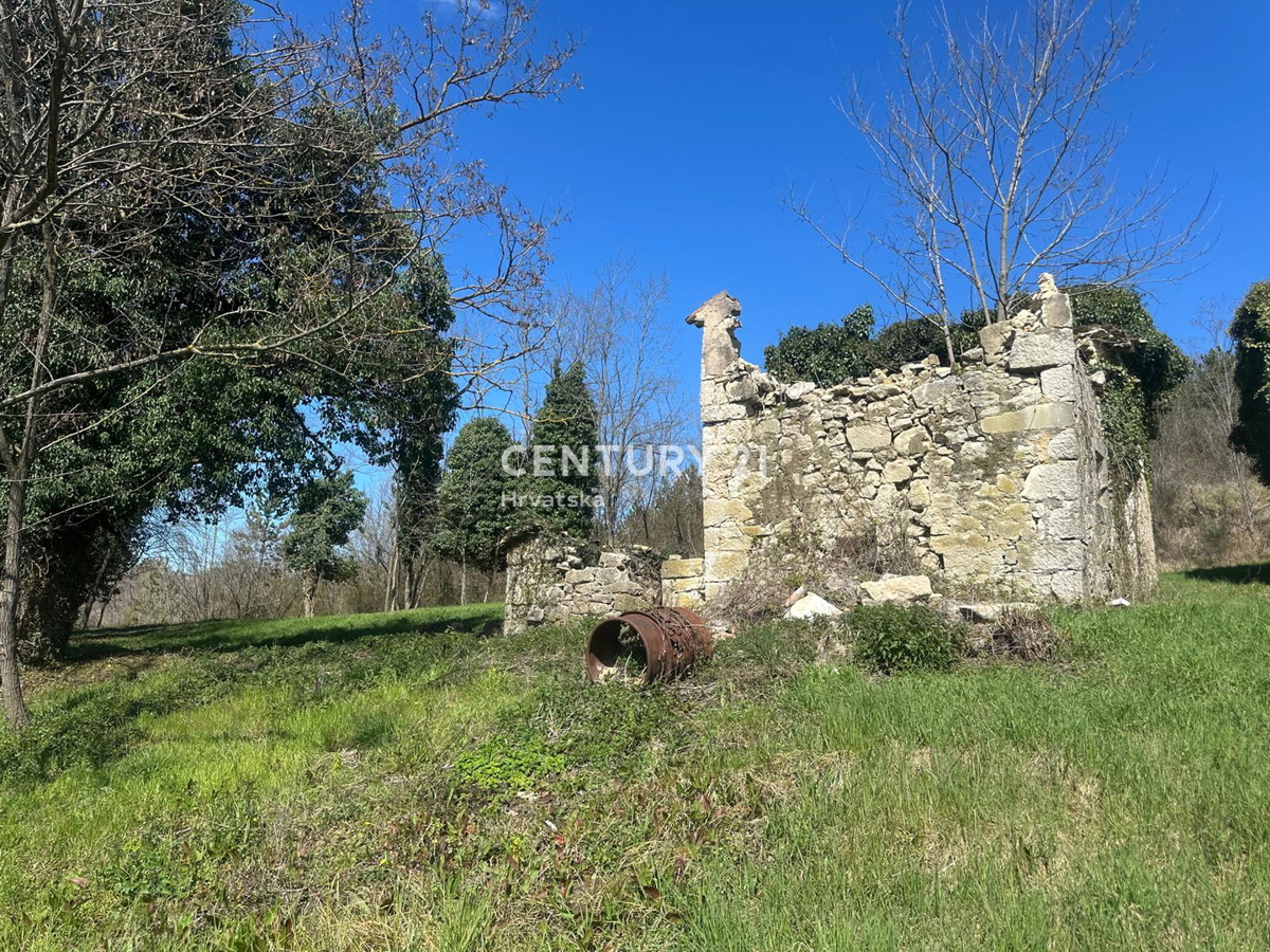 GROŽNJAN, PRODAJA ČUDOVITEGA POSESTVA Z ODPRTIM RAZGLEDOM NA NARAVO