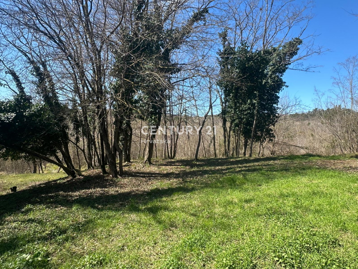 GROŽNJAN, PRODAJA ČUDOVITEGA POSESTVA Z ODPRTIM RAZGLEDOM NA NARAVO