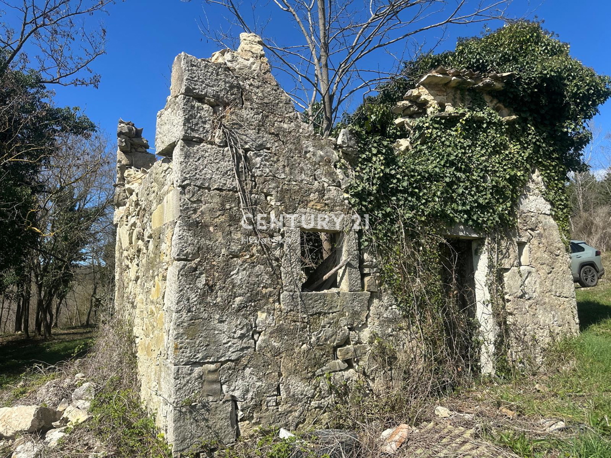 GROŽNJAN, PRODAJA ČUDOVITEGA POSESTVA Z ODPRTIM RAZGLEDOM NA NARAVO