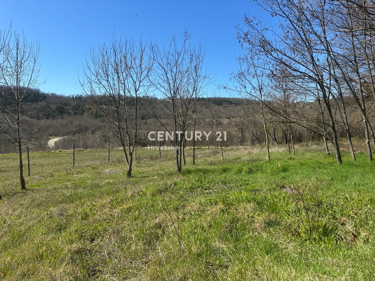 GROŽNJAN, PRODAJA ČUDOVITEGA POSESTVA Z ODPRTIM RAZGLEDOM NA NARAVO