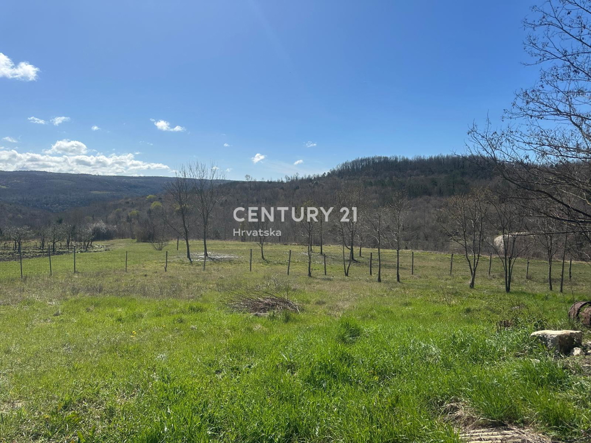 GROŽNJAN, PRODAJA ČUDOVITEGA POSESTVA Z ODPRTIM RAZGLEDOM NA NARAVO