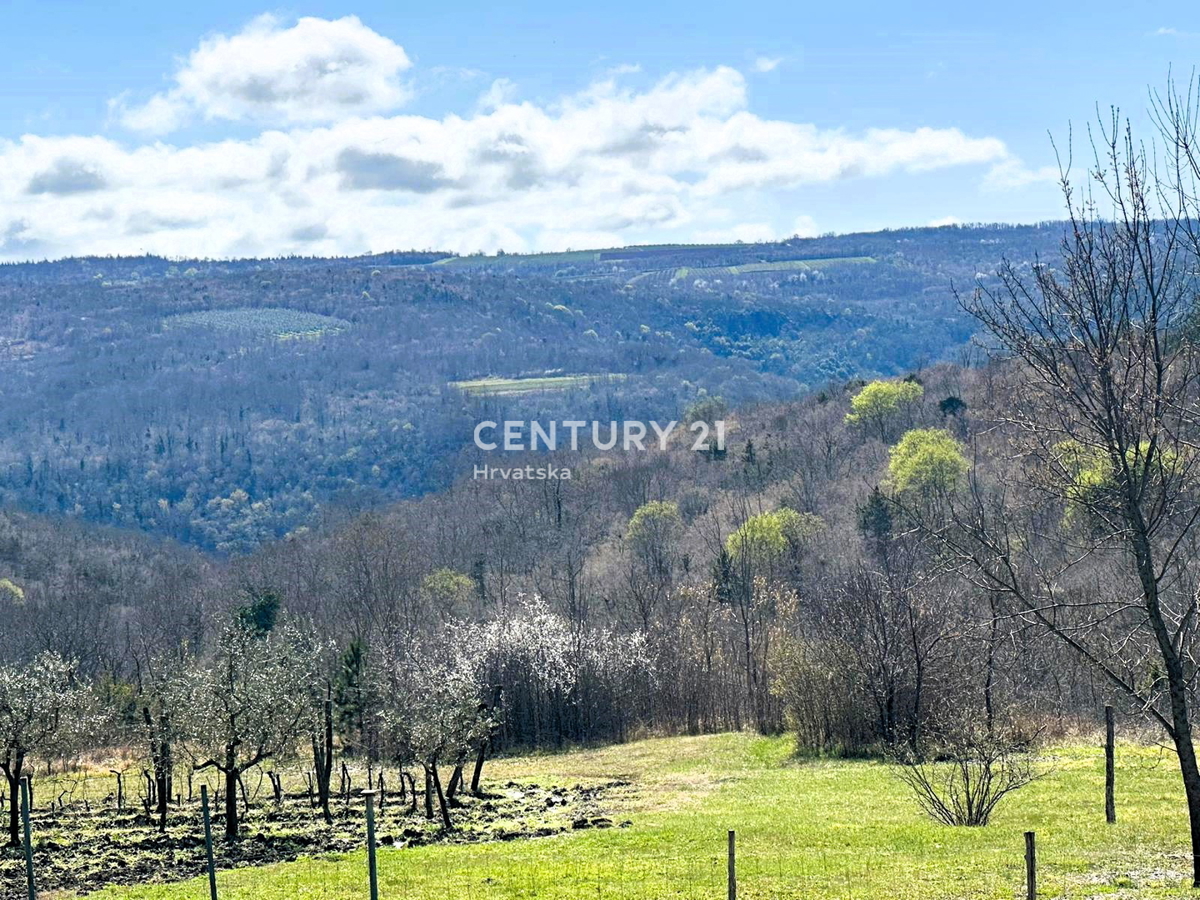 GROŽNJAN, PRODAJA ČUDOVITEGA POSESTVA Z ODPRTIM RAZGLEDOM NA NARAVO