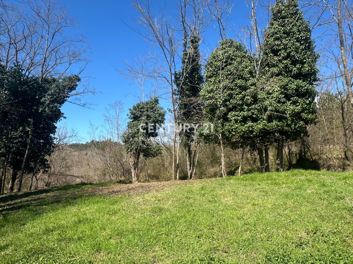 GROŽNJAN, PRODAJA ČUDOVITEGA POSESTVA Z ODPRTIM RAZGLEDOM NA NARAVO