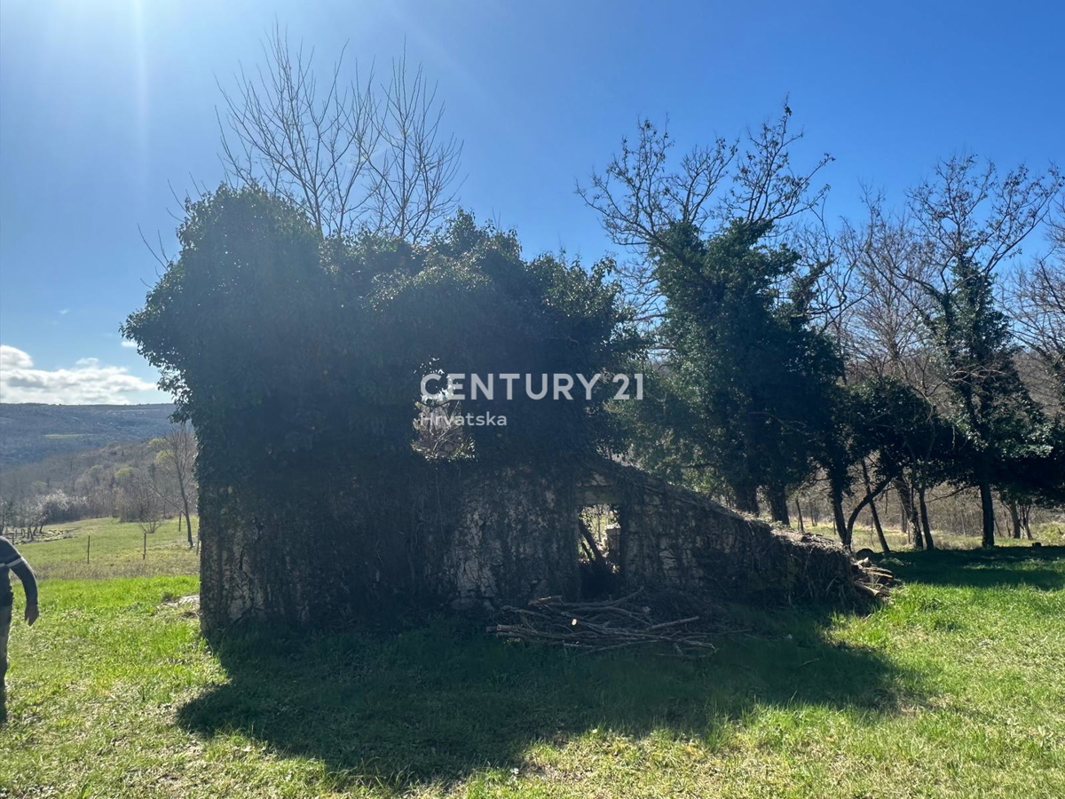 GROŽNJAN, PRODAJA ČUDOVITEGA POSESTVA Z ODPRTIM RAZGLEDOM NA NARAVO