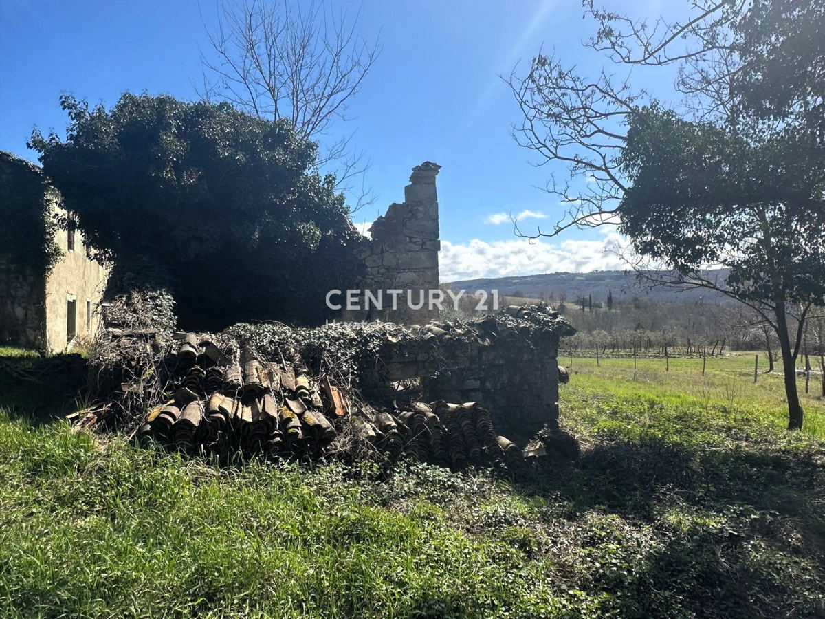 GROŽNJAN, PRODAJA ČUDOVITEGA POSESTVA Z ODPRTIM RAZGLEDOM NA NARAVO