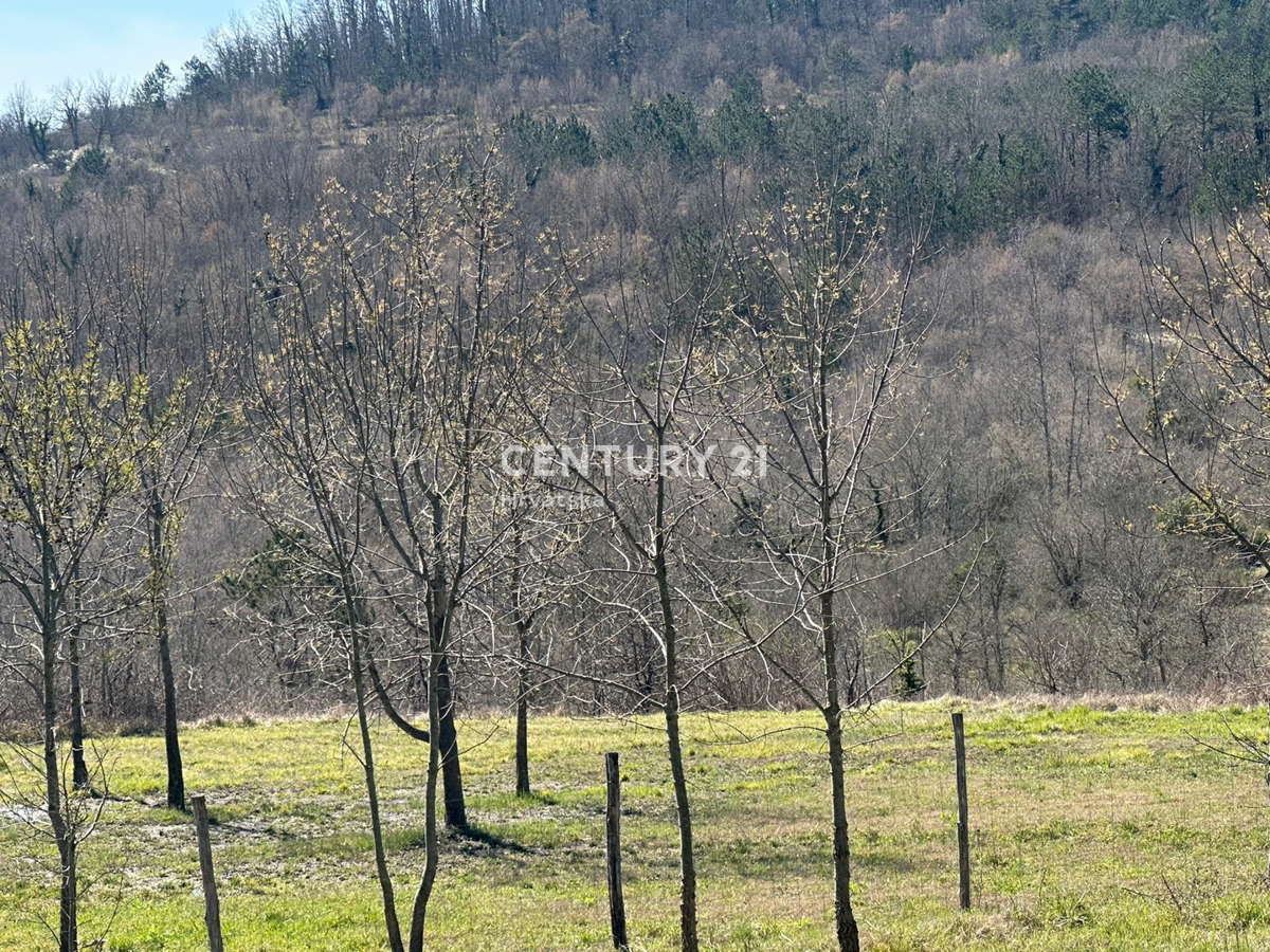 GROŽNJAN, PRODAJA ČUDOVITEGA POSESTVA Z ODPRTIM RAZGLEDOM NA NARAVO