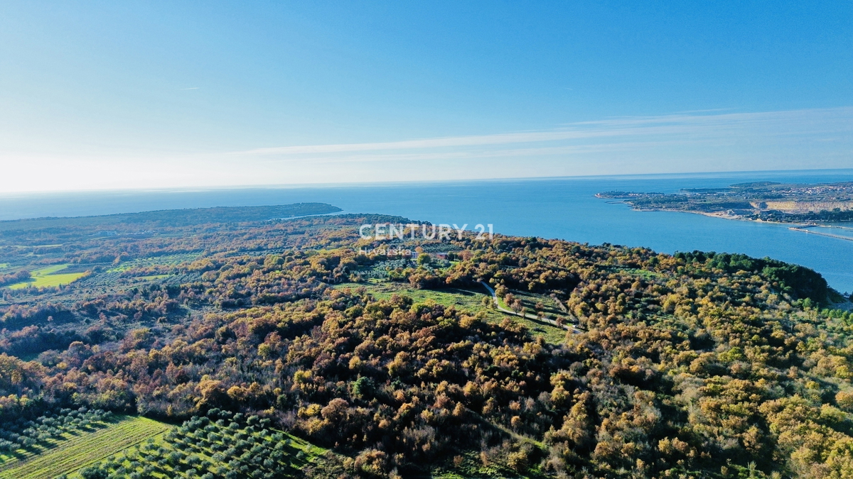 TAR, OKOLICA, OLJČNJAK SAMO 500 METROV OD MORJA