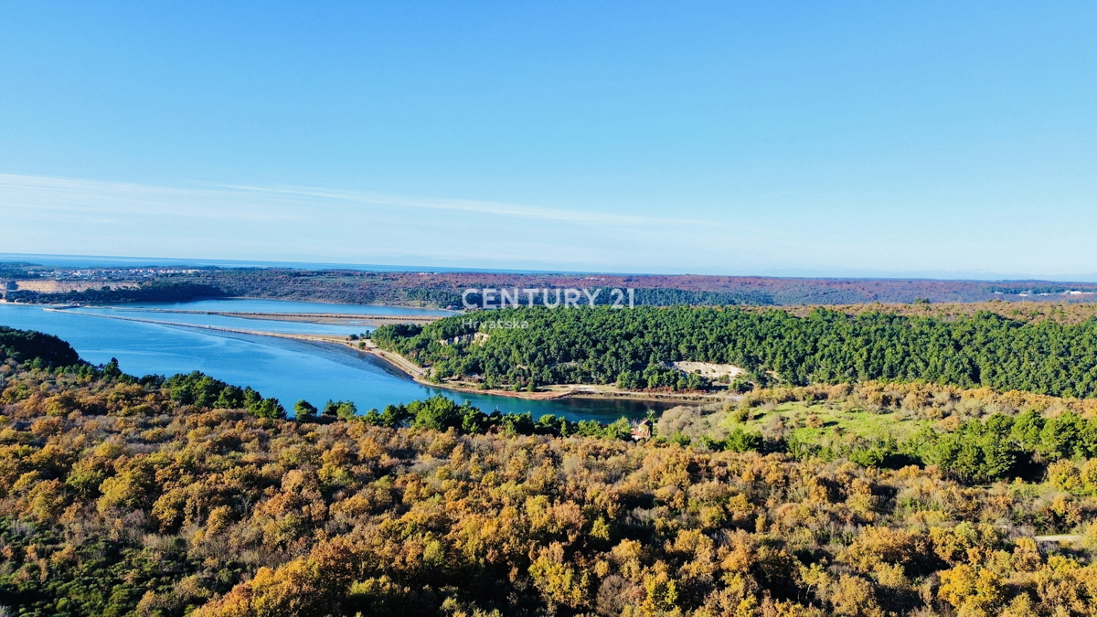TAR, OKOLICA, OLJČNJAK SAMO 500 METROV OD MORJA