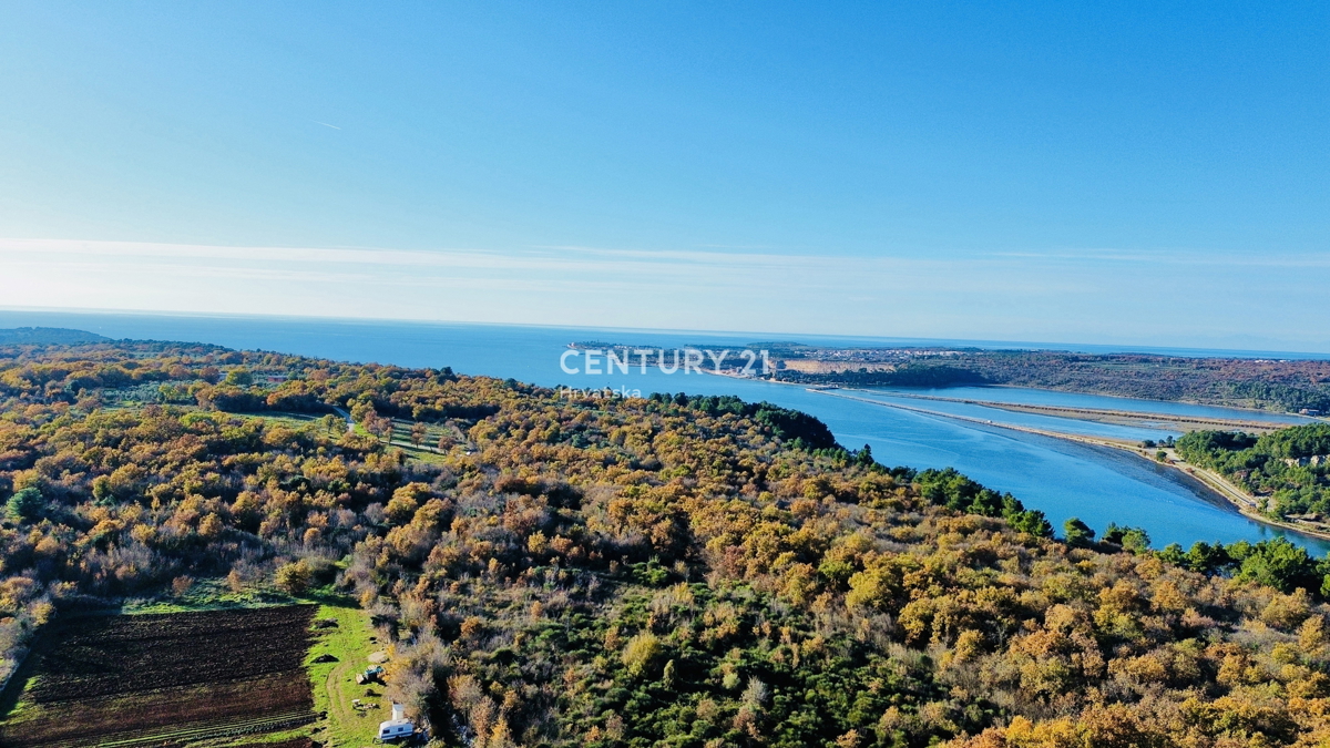 TAR, OKOLICA, OLJČNJAK SAMO 500 METROV OD MORJA