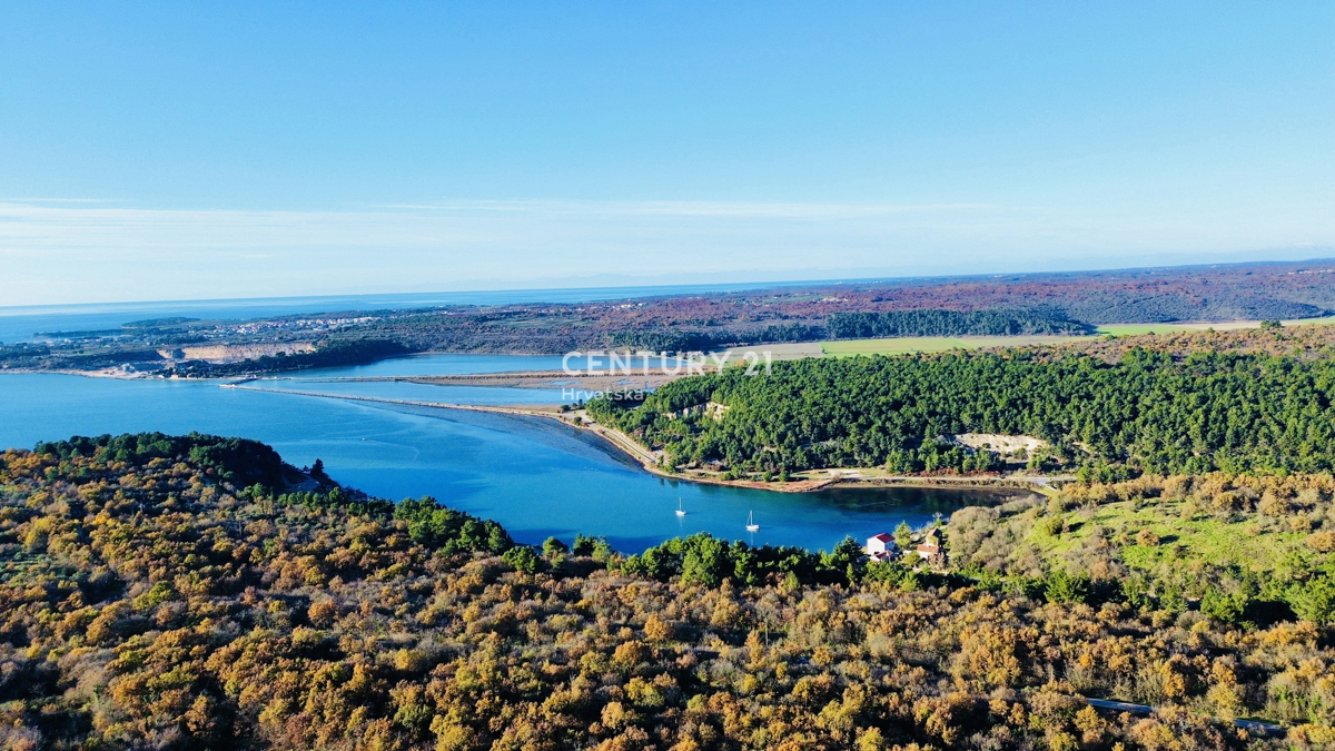 TAR, OKOLICA, OLJČNJAK SAMO 500 METROV OD MORJA