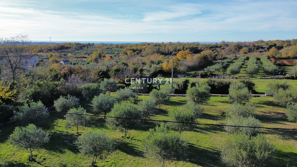 POREČ, SVETI LOVREČ, GRADBENO ZEMLJIŠČE Z RAZGLEDOM NA MORJE
