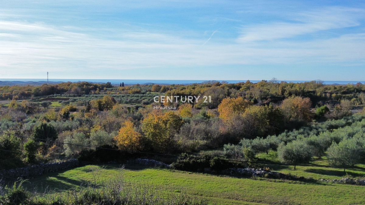 POREČ, SVETI LOVREČ, GRADBENO ZEMLJIŠČE Z RAZGLEDOM NA MORJE