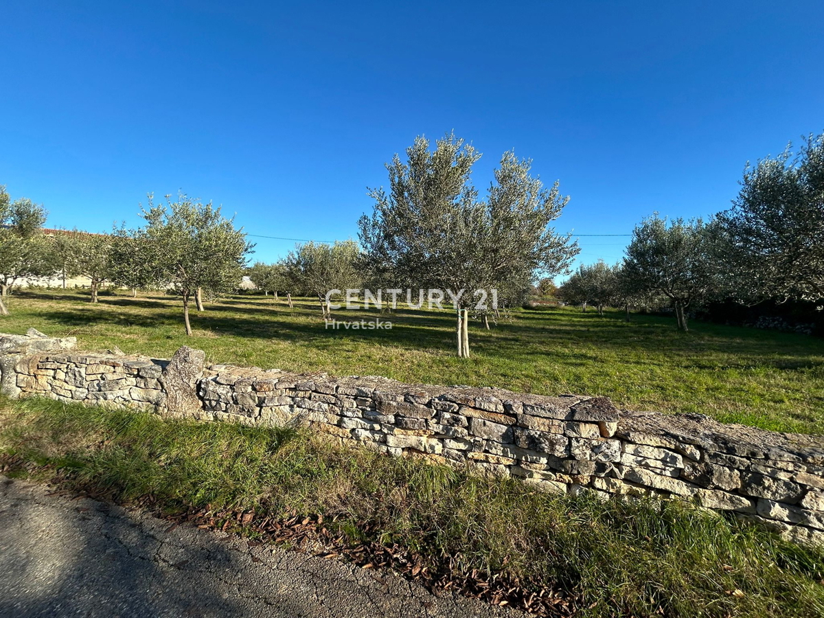 POREČ, SVETI LOVREČ, GRADBENO ZEMLJIŠČE Z RAZGLEDOM NA MORJE