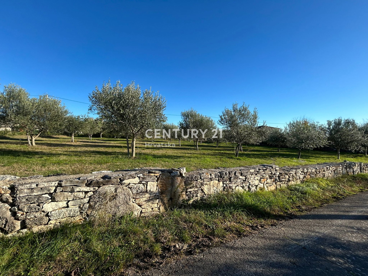 POREČ, SVETI LOVREČ, GRADBENO ZEMLJIŠČE Z RAZGLEDOM NA MORJE