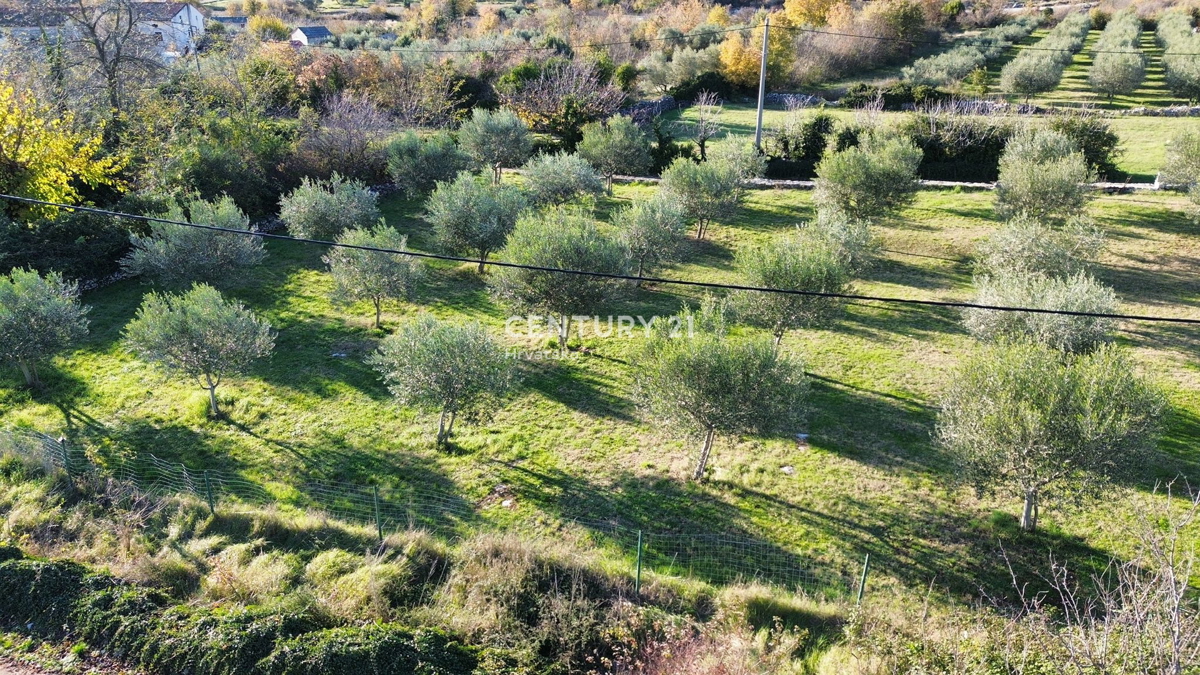 POREČ, SVETI LOVREČ, GRADBENO ZEMLJIŠČE Z RAZGLEDOM NA MORJE
