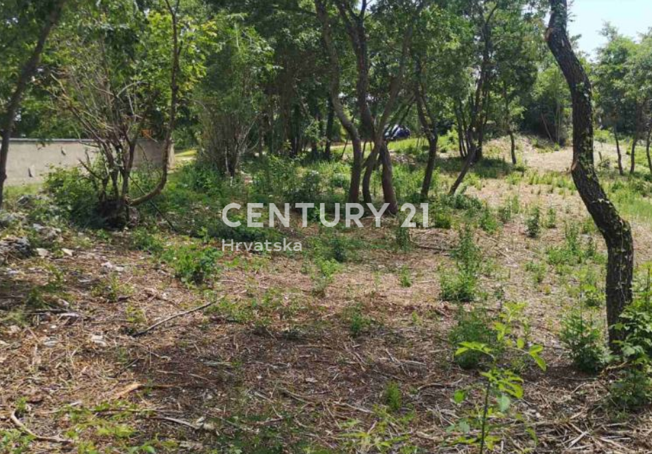 SVETVINČENAT, GRADBENO ZEMLJIŠČE Z GRADBENO DOVOLJENJO ZA VILO V NARAVI