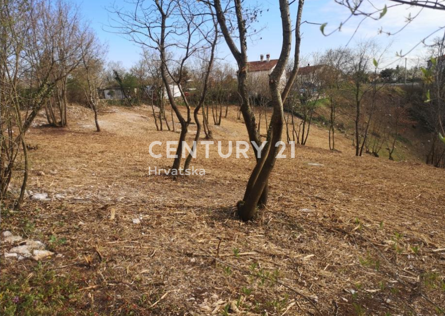 SVETVINČENAT, GRADBENO ZEMLJIŠČE Z GRADBENO DOVOLJENJO ZA VILO V NARAVI